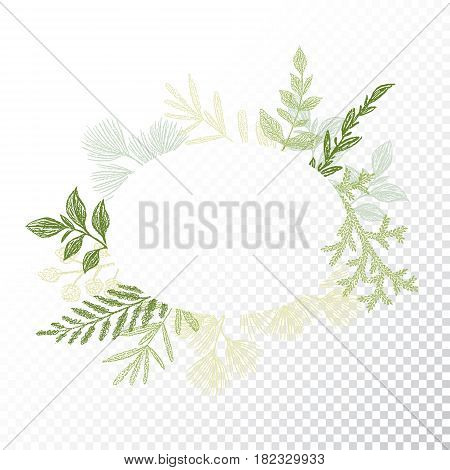 Ellipse floral frame with branches and leaves decoration vector. Oval hand drawn green flourish border for card design. Transparent background