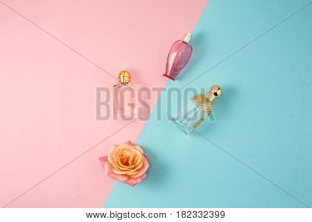 Cosmetics - Perfume on colorful backgroundb with rose
