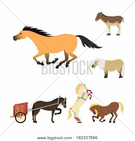 Set of horse pony stallion isolated different breeds color farm equestrian animal characters vector illustration. Collection mammal silhouette domestic animal cartoon pet design.