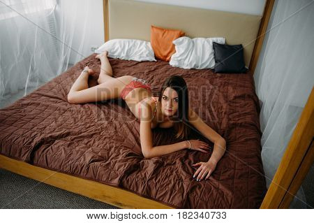 Hot Slim Brunette Lady In Beautiful Lingerie Lying On The Bed At Home In The Early Morning, Indoor P