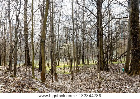 Abandoned park in the center of the city in early spring in warm sunny weather