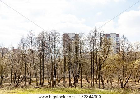 Abandoned park in the center of the city in early spring in warm sunny weather
