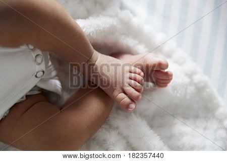 Close Up Of Feet Of Newborn Baby In Nursery Cot