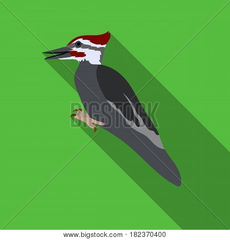 Woodpecker icon in flate style isolated on white background. Bird symbol vector illustration.