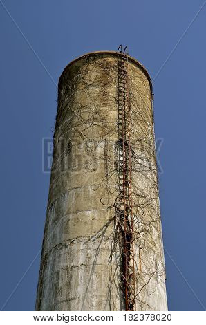 An old rusty leads to the top of a poured concrete silo used to store silage