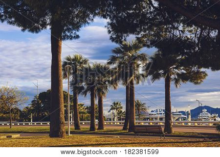 The Port Canto Harbour And Garden In Cannes's City Centre