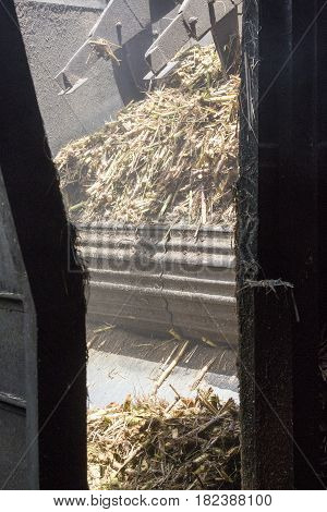 Distillery of rum. Full process sugar cane crusing