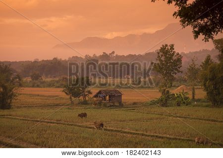 Thailand Lampang Jaesorn Landscape
