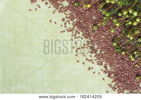 background of dry flax plant capsules and seeds on napkin.