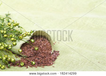 dry flax plant and seeds capsules on linen napkin