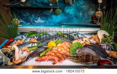 Fresh seafood and fishes lying on ice in the showcase. Rethymno on Crete island, Greece.