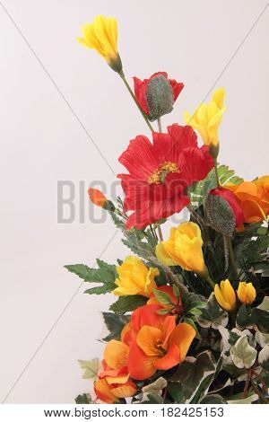 red and yellow flowers on white backgound