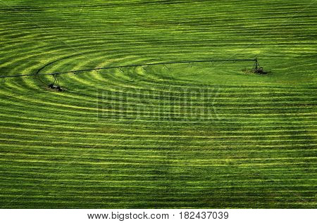 Farmfield with circle pivot irrigation sprinkler