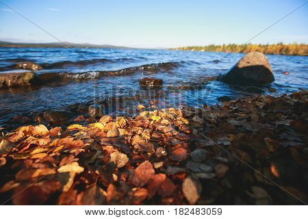 Beautiful vibrant autumn fall view of famous Abisko National Park, Sweden