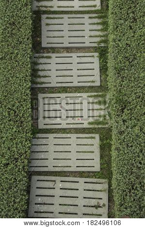Two frence grass with white brick the way bock.