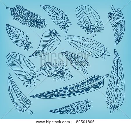 Beautiful feathers set. Beautiful feathers set on blue background