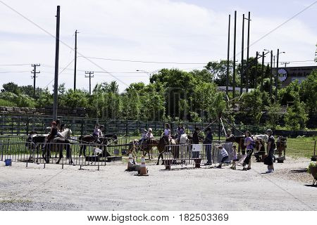 Laval, Quebec - June 14, 2015 - Wide view of happy children riding on the live Pony Ride in the Nature Park, Laval, Quebec on a sunny day in June.