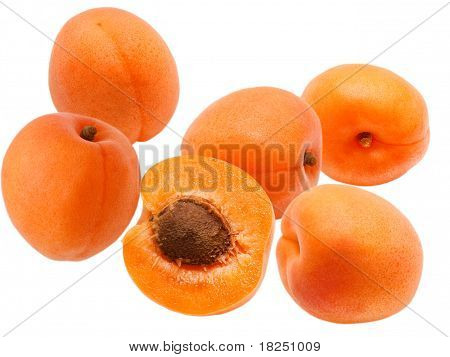 Aprikos