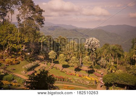 Thailand Chiang Rai Doi Tung Mea Fah Luang Garden
