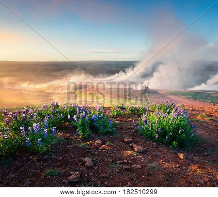 Erupting of the Great Geysir lies in Haukadalur valley on the slopes of Laugarfjall hill. Foggu summer morning in Southwestern Iceland Europe. Artistic style post processed photo.