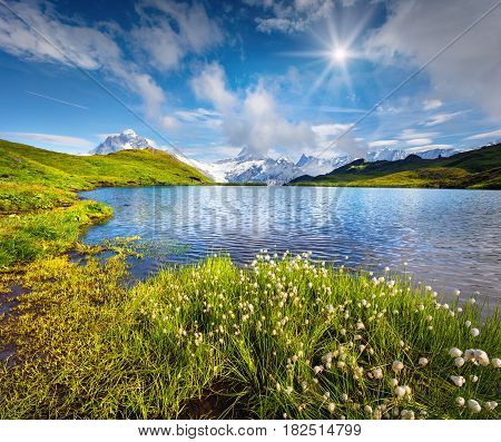 Wetterhorn and Wellhorn peaks in the morning mist on Bachsee lake. Colorful summer scene in Bernese Oberland Alps Grindelwald location Innertkirchen Switzerland Europe.