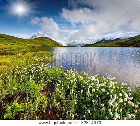 Wetterhorn and Wellhorn peaks in the morning mist on Bachsee lake. Colorful summer scene in Bernese Oberland Alps Grindelwald location Innertkirchen Switzerland Europe.