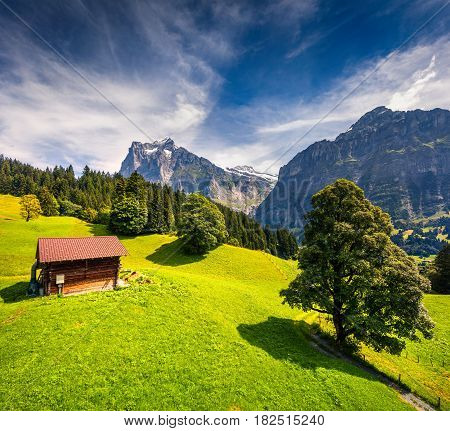 Colorful morning view of Grindelwald village valley from cableway. Wetterhorn and Wellhorn mountains located west of Innertkirchen in the Bernese Oberland Alps. Switzerland Europe.