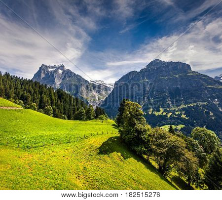 Colorful morning view of Grindelwald village valley from cableway. Wetterhorn and Wellhorn mountains located west of Innertkirchen in the Bernese Oberland Alps. Switzerland Europe.