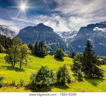 Colorful morning view of Grindelwald village valley from cableway. Wetterhorn mountain located west of Innertkirchen in the Bernese Oberland Alps. Switzerland Europe.