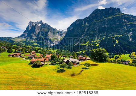 Colorful morning view of Grindelwald village valley from cableway. Wetterhorn and Wellhorn mountains located west of Innertkirchen in the Bernese Oberland Alps. Switzerland Europe.
