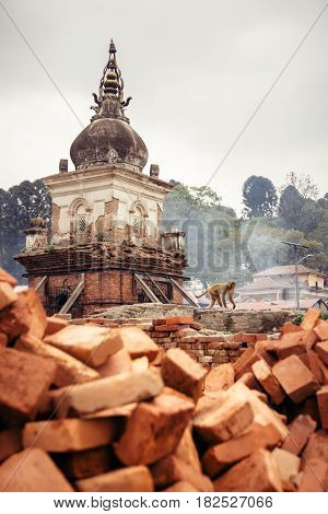 A monkey walks past one of the many chaityas and rising smoke from the burning funeral pyers at Pashupatinath temple. Kathmandu Nepal.