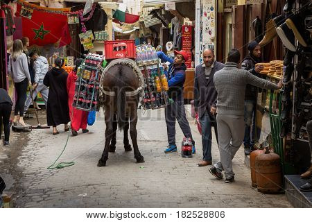 Fes, Morocco - February 28, 2017: Donkey Is The Most Common Working Animal In Morocco
