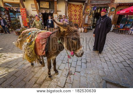 Fes, Morocco - February 28, 2017: Donkey Is The Most Common Working Animal In Morocco