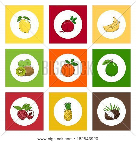 White Icons Citrus Tropical Fruits on Colored Background ,Lichee and Coconut, Kiwifruit and Pomegranate , Pineapple and Banana, Lemon and Orange, Lime, Vector Illustration