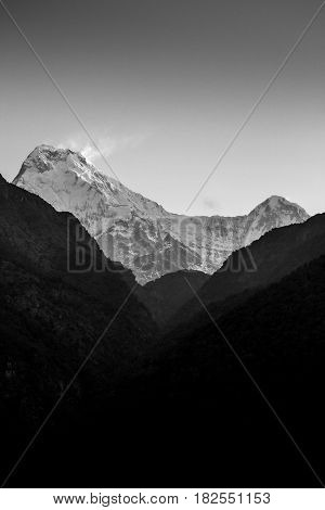 Nepal March 2017: The peaks of Annapurna South and Hiunchuli as viewed through the valley looking up from the village of Ulleri at sunrise in black and white. Annapurna region Nepal.