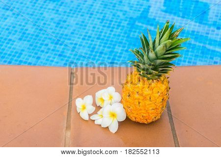 Pinapple and tropical flowers near pool blue cool water