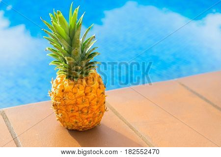 Whole pinapple near pool with blue cool water