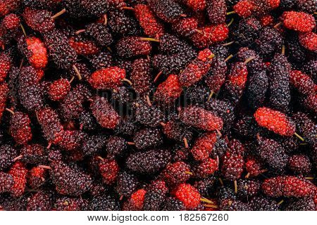 Red mulberry nature pattern background and nature