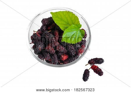 Red mulberry and isolate on white background