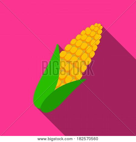Corn icon flate. Singe vegetables icon from the eco food flate.