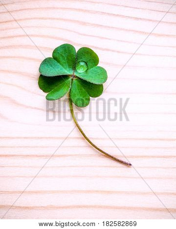 Clover Leaves On Shabby Wooden Background. The Symbolic Of Four Leaf Clover The First Is For Faith,