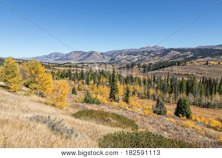 the scenic landscape of the Wyoming mountains in fall
