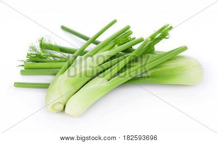 closeup fresh fennel bulb isolated on white background