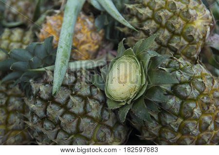 Thailand Chiang Rai Market Fruits Pineaple