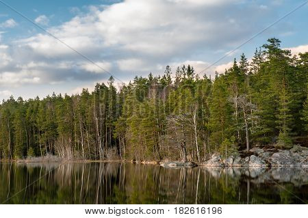 Evening light on forest trees by lake with perfect reflection in water at Tyresta National Park in Stockholm, Sweden