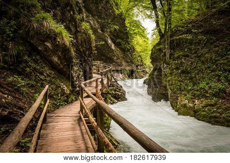 Mountain river and wooden bridge in Vintgar Gorge, Lake Bled natural park, Slovenia