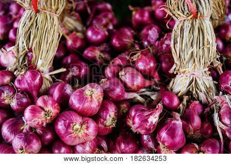 Allium Ascalonicum (shallots) Or  Red Onion