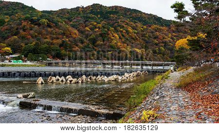 Fall Colors In Arashiyama