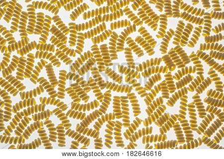 Raw fusilli pasta close up: top view