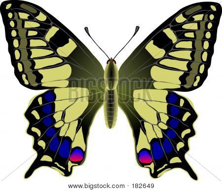Machaon